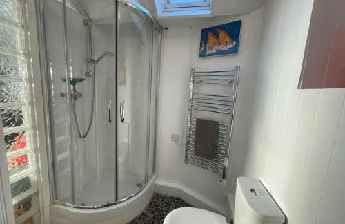 Cilia Marys Annexe St Teath - Foto 10