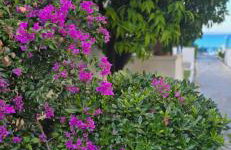 Ageri II Beach Front Apartment - Foto 36