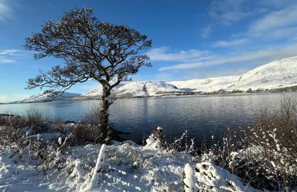 Hillview Guest House - Foto 12