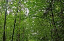 Lohmann's Landhaus zum See - Foto 80