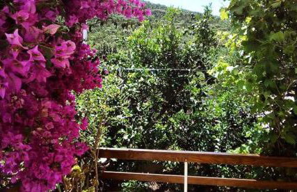 Faros oasis - Foto 32