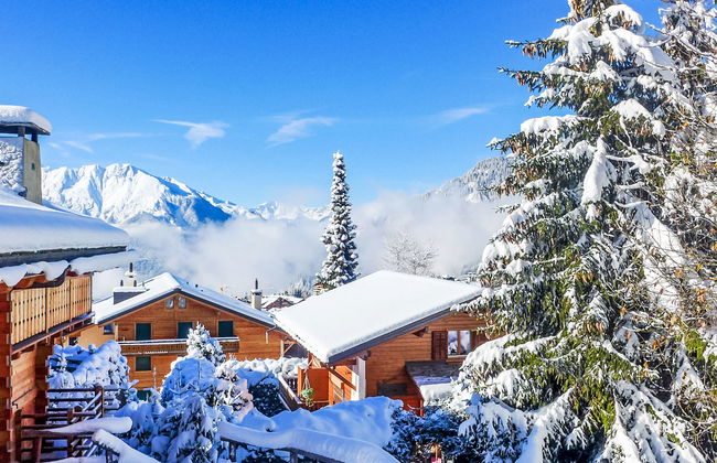 Boule de Neige - Foto 25