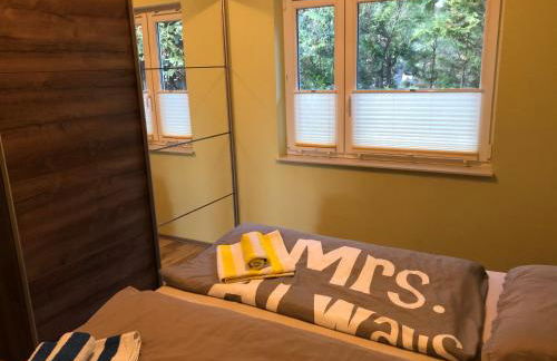 Schilfblume - Foto 20