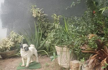 Casa acomodação em Araruama - Foto 26