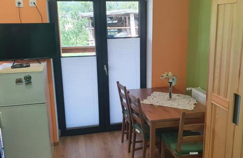 Apartamenty Dzika Orlica - Foto 39