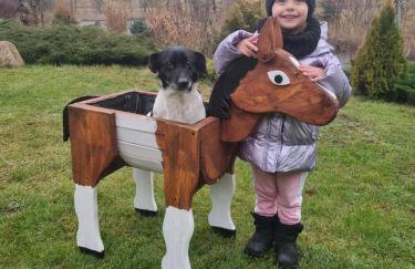 Wiejska Chata - Foto 52