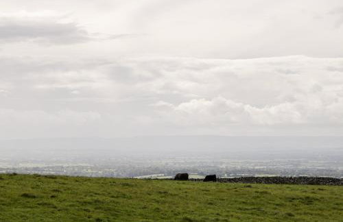 Down the Rabbit Hole - Foto 36