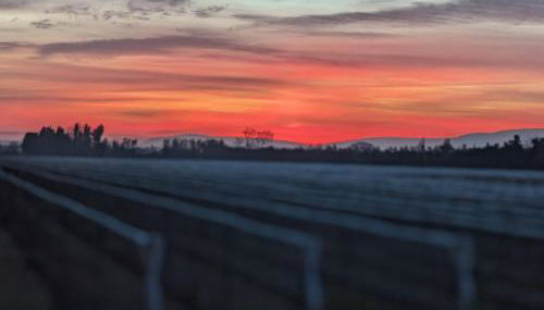 Gîte de campagne Clos Beau Soleil - Foto 5