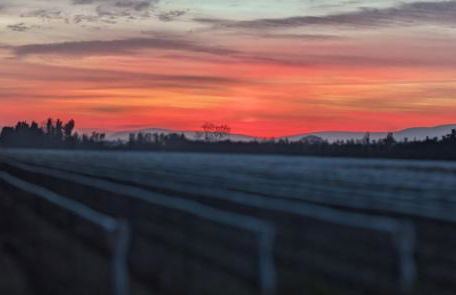 Gîte de campagne Clos Beau Soleil - Foto 5