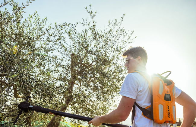 Glamping Diacceroni - Foto 26