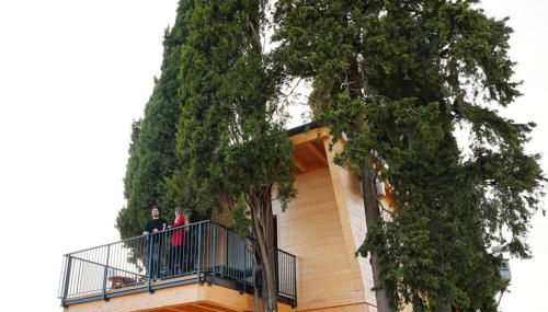 Agriturismo La Masseria - La casa tra gli alberi - Foto 2