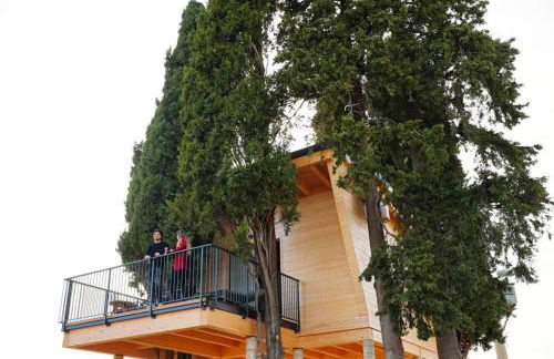 Agriturismo La Masseria - La casa tra gli alberi - Foto 2