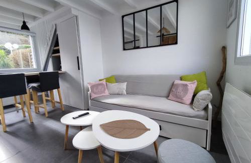 Maison VUE MER 50m PLAGE de TRESTEL GR34 entre Perros Guirec côte de granit rose et l'île de Bréhat - Foto 12