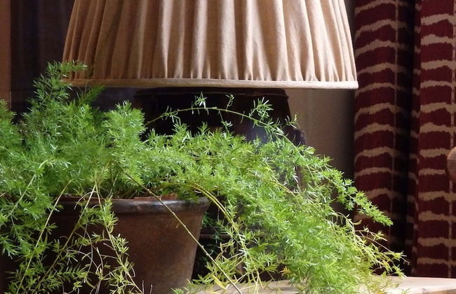 Apartment Dijver - Photo 11