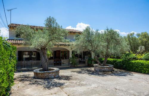 Son Fransi Alaro - Photo 4