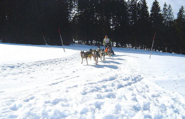 Apartment in Haidmuhle With Balcony or Terrace - Foto 26