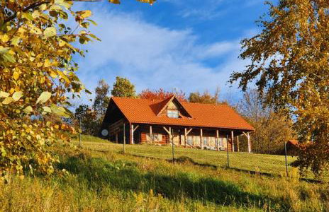 Dom na Kamieńcu - Photo 62