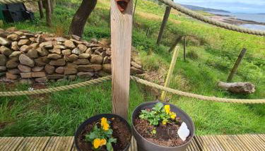 The bay ,luxury shepherds hut, - Foto 5