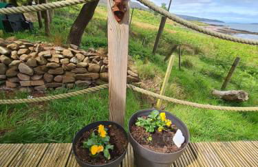 The bay ,luxury shepherds hut, - Foto 5