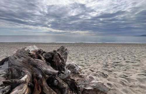 Villa T3 - 6 couchages - Piscine-Clim-Wifi-Garage - Photo 24