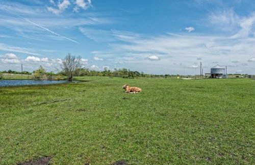 Silo House At Laughing Llama Farm - Foto 30