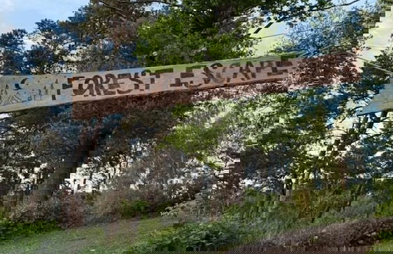 Glamping in Stunning Bell Tent in Bohemia - Photo 5