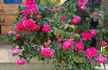 Kuća za odmor Family Fužine - Foto 22