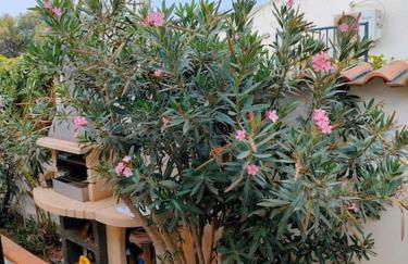 Villa Rampanti - Foto 22