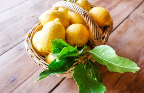 Lisbon Country Villa - Foto 48