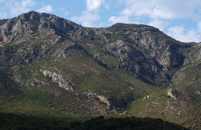 Agriturismo Sogno Latino - Photo 43