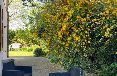 I gatti e la Volpe B&B - Photo 19