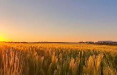 Haus Wipperblick - Foto 33