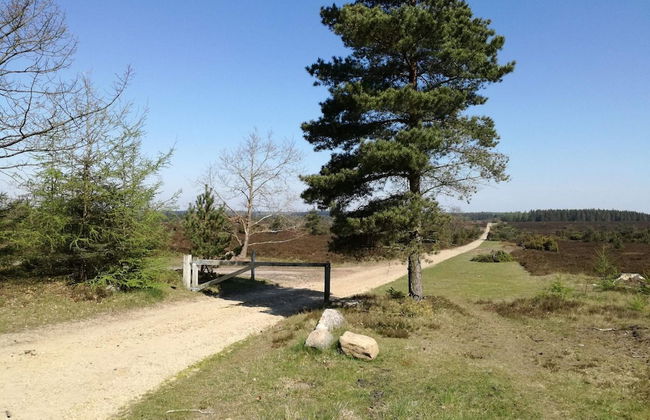 4 Person Holiday Home in Hovborg-by Traum - Foto 13