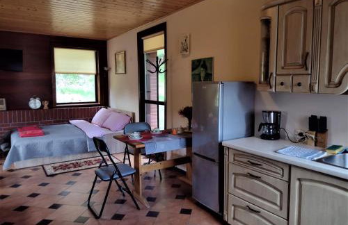 Pod Górą Turma - Photo 6