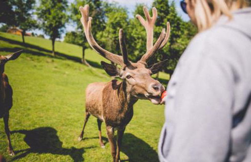 Holiday Home Bella Vita - Foto 41