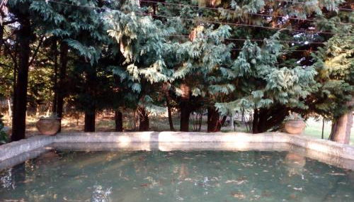 No Meio da Natureza - Turismo No Espaco Rural - Foto 4, Garden