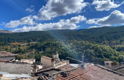 Large family - Foto 27