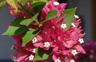 Nakou Village - Foto 73