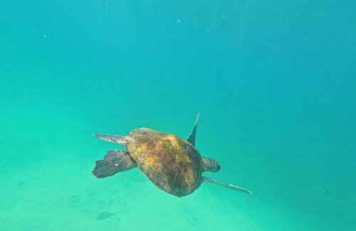 Conforto e Lazer - Apto 3 qts, ar e piscina na Praia do Forte - Foto 24