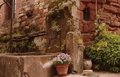 Domaine de Lanzac - Foto 74