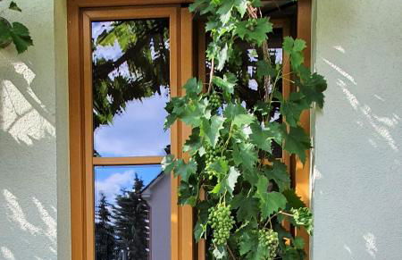 Ferienwohnung Strata Montana - Foto 32