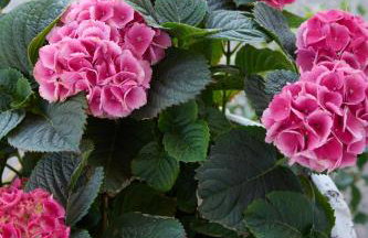 La Familia Luxury Private Maisonettes near the sea - Foto 21