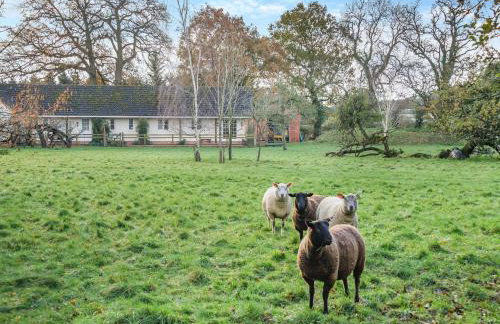 Paddock Barn - Foto 16