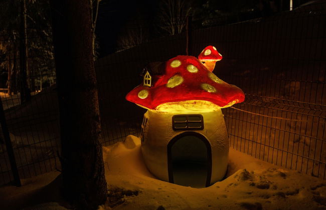 Tumba Sisli Vadi - Foto 34