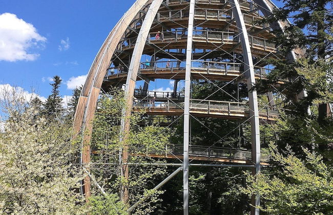 Comfortably Furnished Apartment in Lower Bavaria - Foto 16