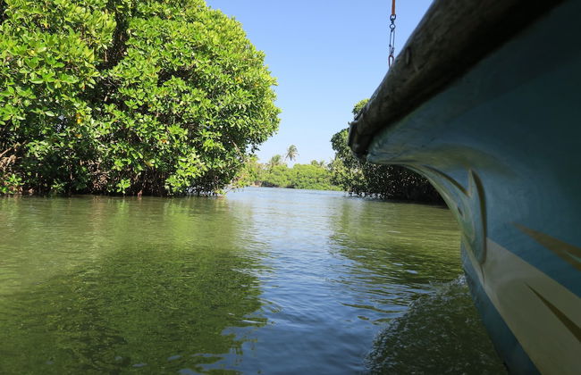 Boutique Health-focused Hotel on the Beach in Sri Lanka, Just North of Colombo - Foto 9