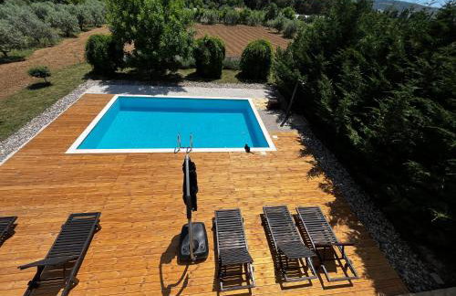 Orange Tree Garden - Foto 4