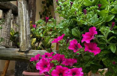 Casa em Visconde De Mauá, Terrário da Montanha - Foto 40