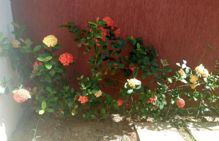 Linda Casa de Campo - Próximo à SP - Wi-Fi grátis - Photo 46