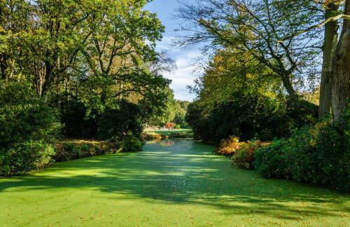 Schlossblick - Foto 27